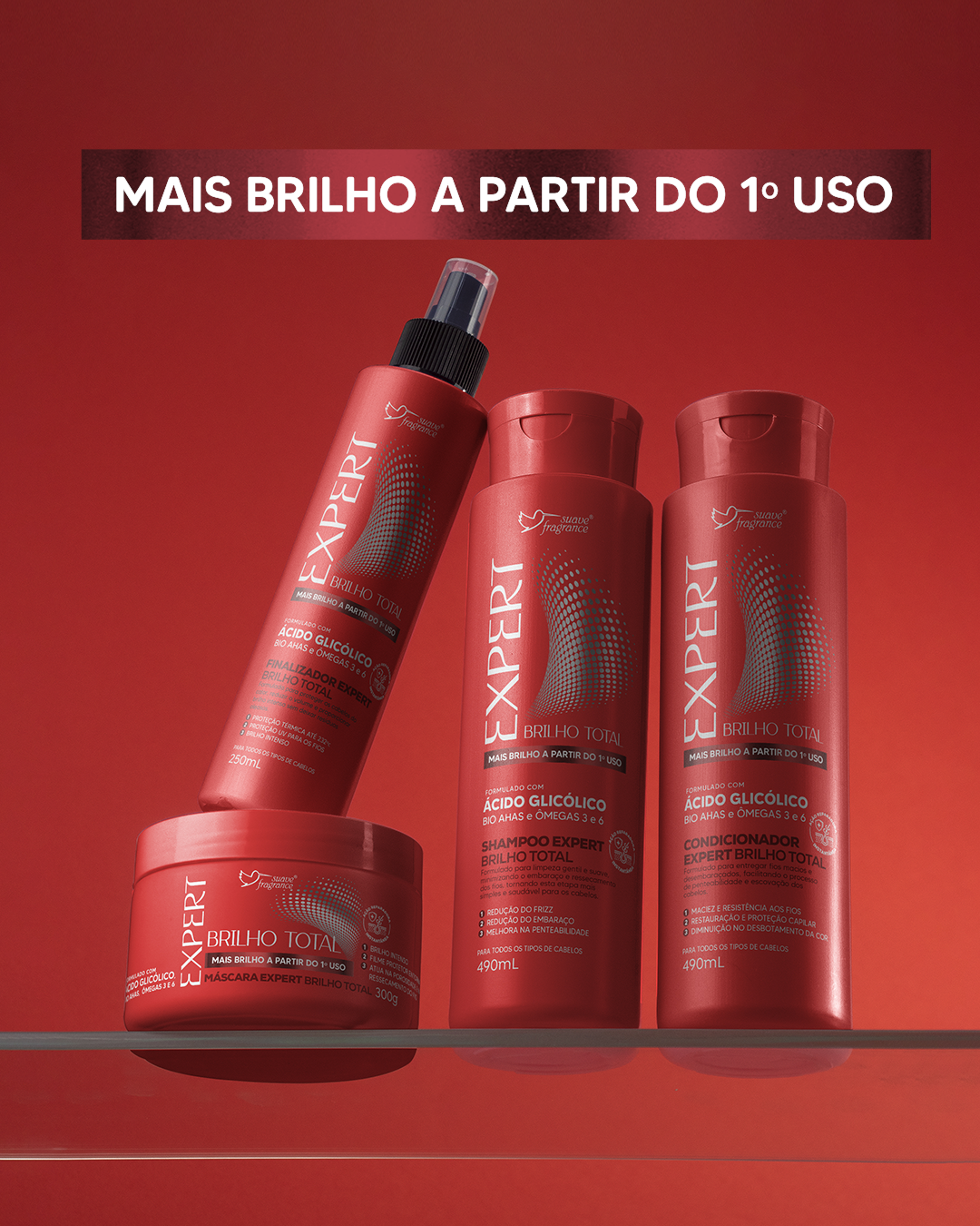 KIT EXPERT BRILHO TOTAL 04 PROD.